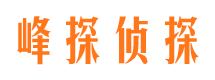 大观侦探公司